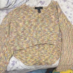 Forever 21 Multicolor Knit Sweater